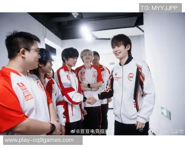 王者荣耀中JDG战队团队协作的成功秘诀与战术分析实时数据